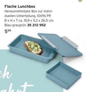 Flache Lunchbox