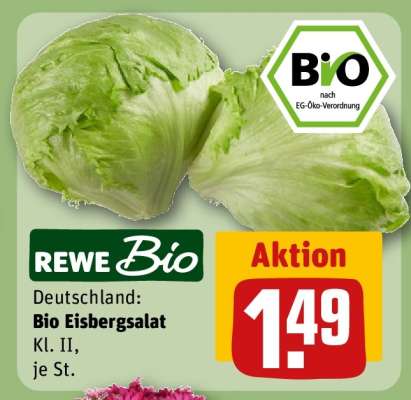 Bio-Eisbergsalat