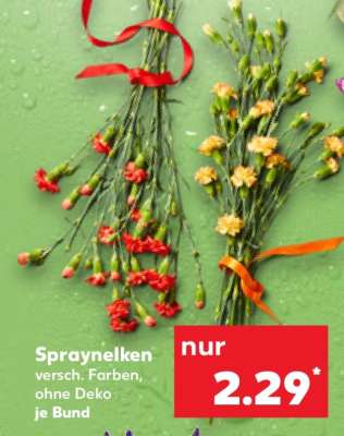 Spraynelken*