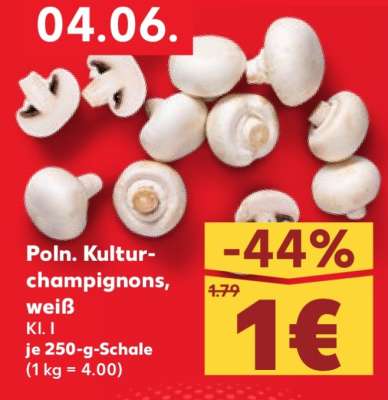 Poln. Kultur-champignons, weiß