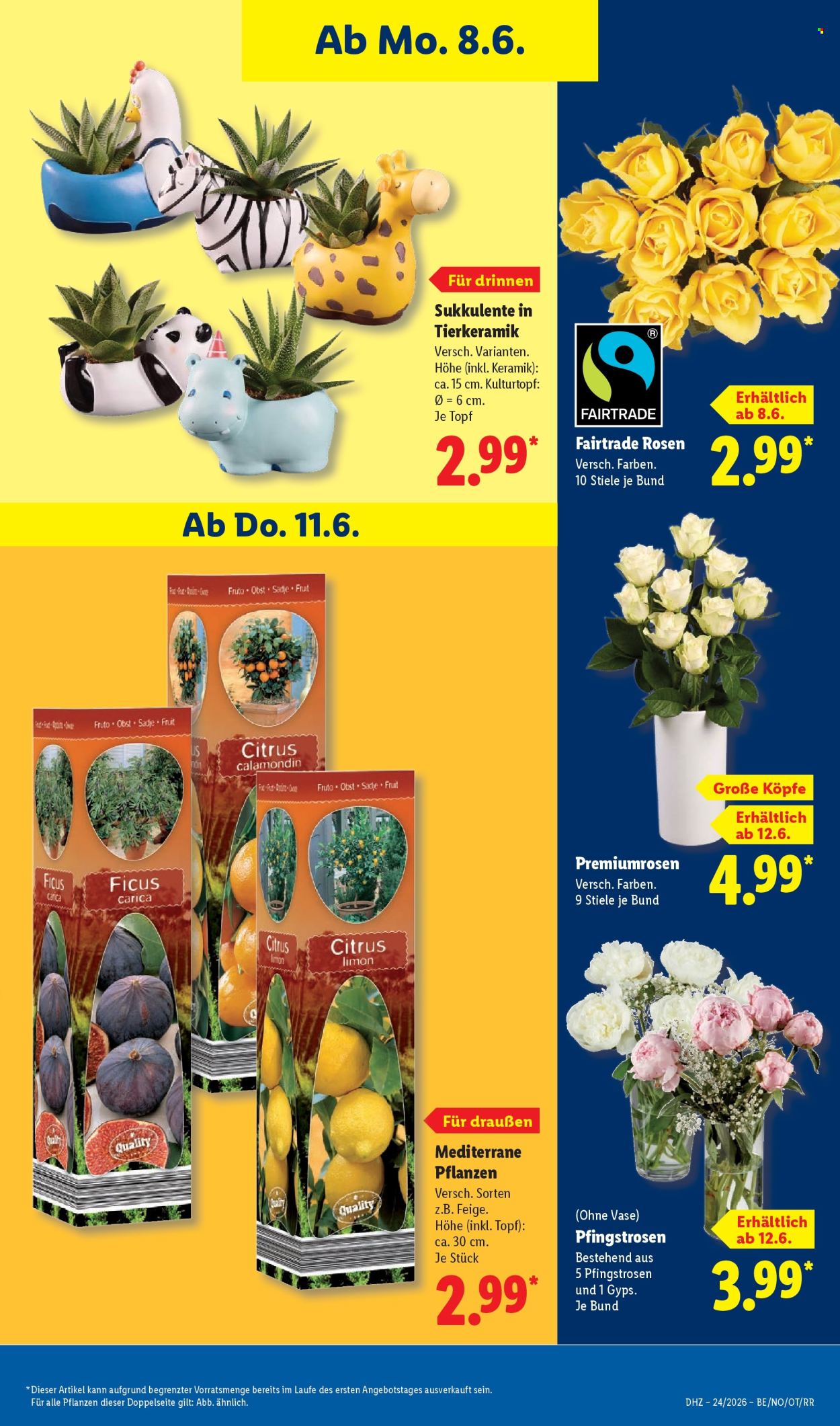 Lidl Prospekte  - 8.06.2026 - 13.06.2026. Seite 69