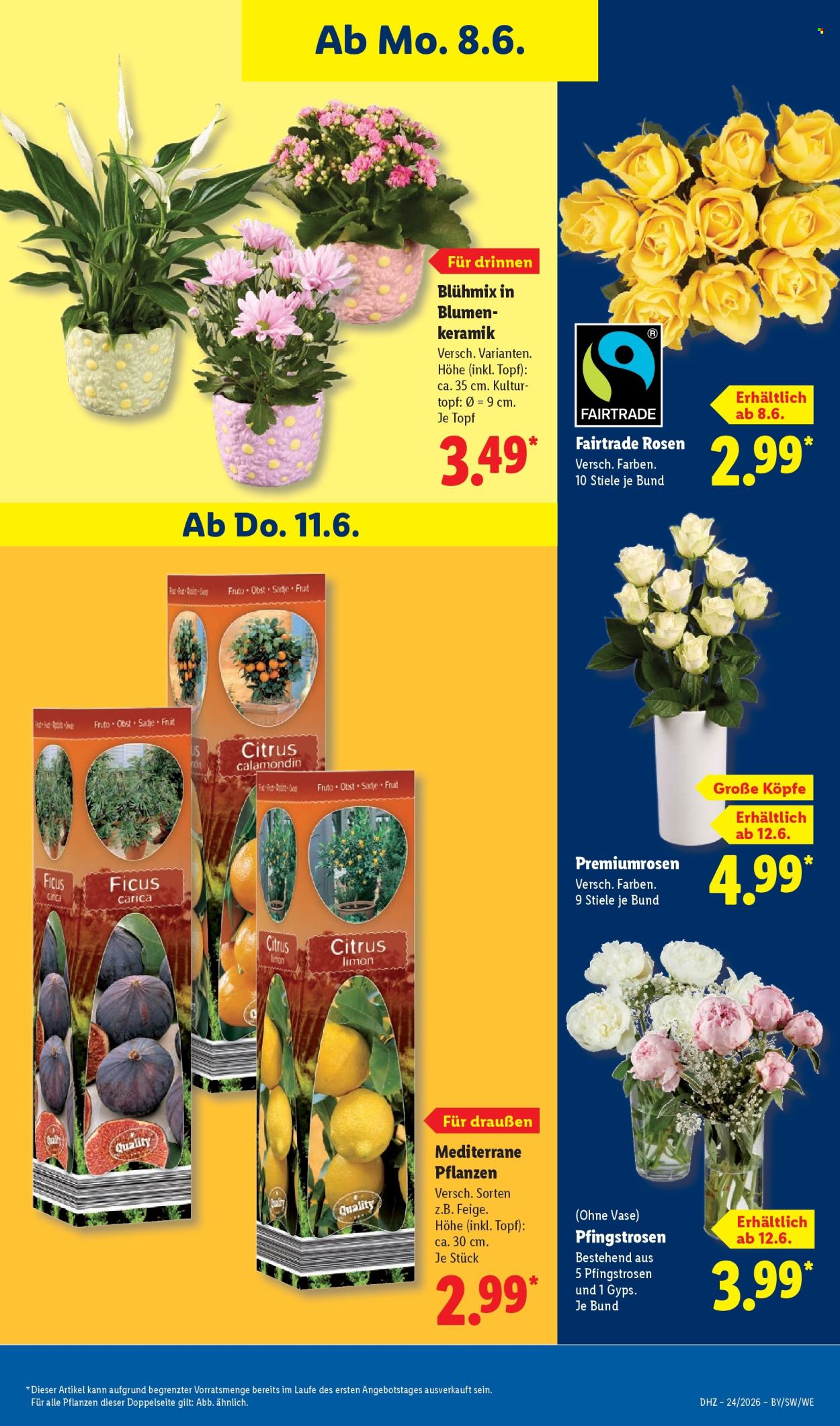 Lidl Prospekte  - 8.06.2026 - 13.06.2026. Seite 69