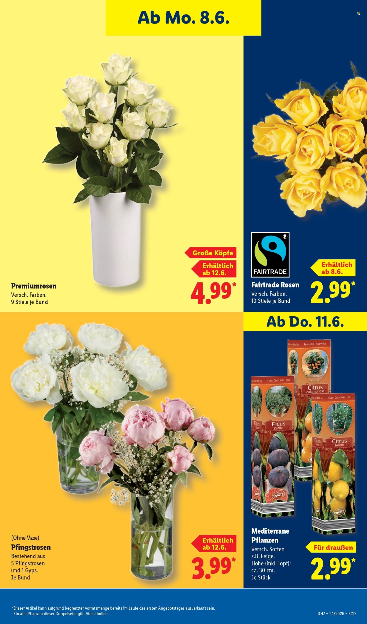 Lidl Prospekte  - 8.06.2026 - 13.06.2026. Seite 69