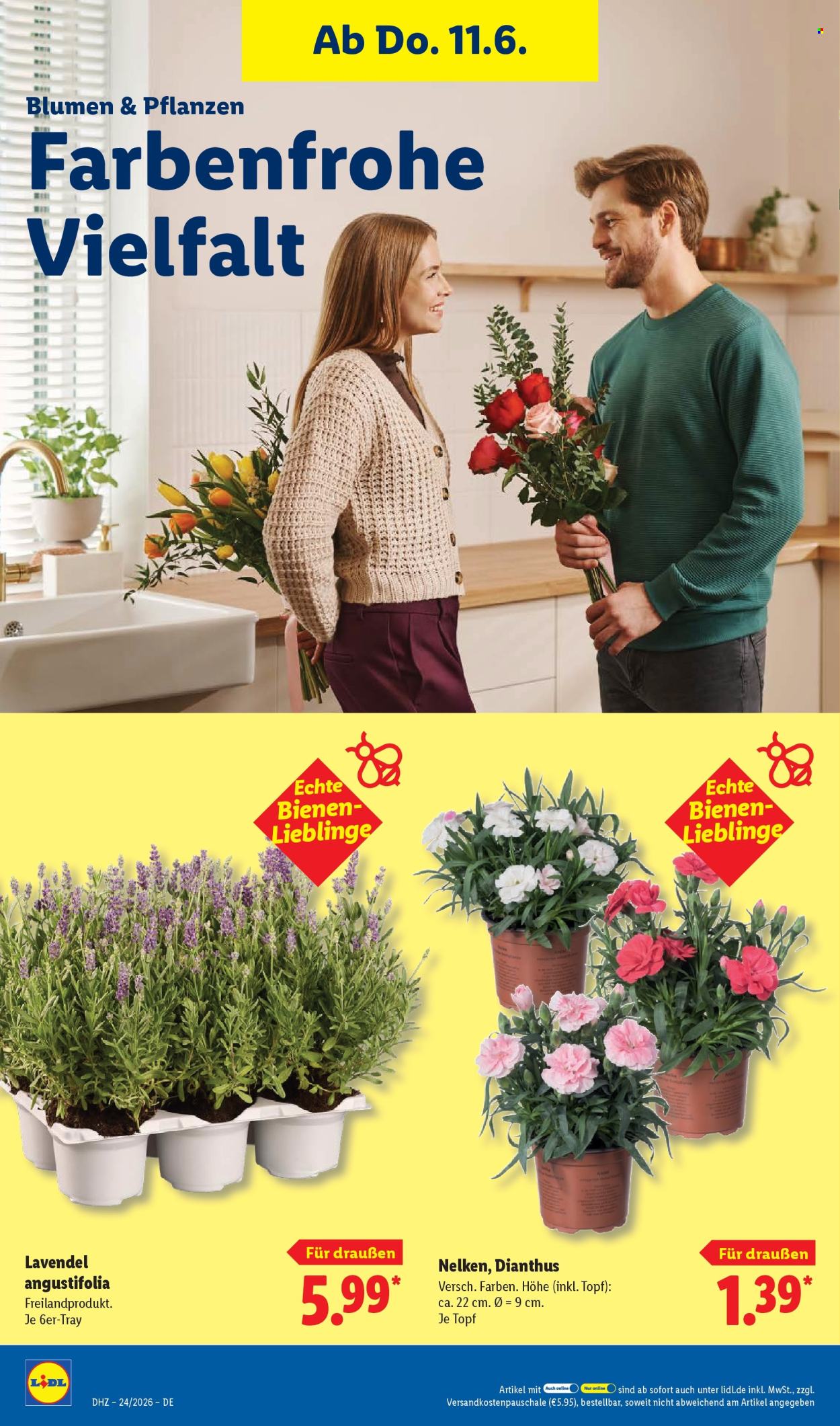 Lidl Prospekte  - 8.06.2026 - 13.06.2026. Seite 72