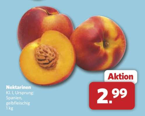 Nektarinen*