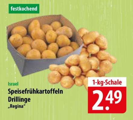 Speisefrühkartoffeln Drillinge 'Regina'