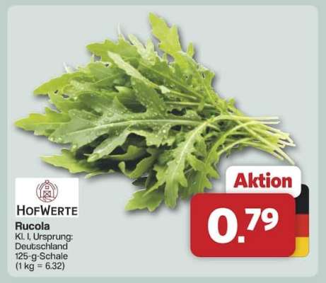 Rucola