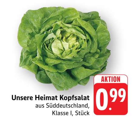 Unsere Heimat Kopfsalat