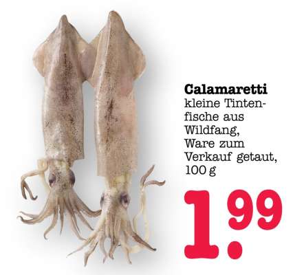 Calamaretti