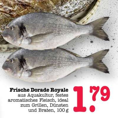 Frische Dorade Royale