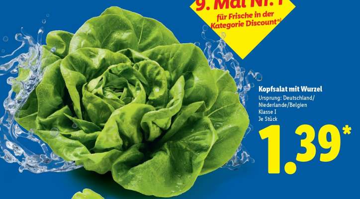 Kopfsalat mit Wurzel
