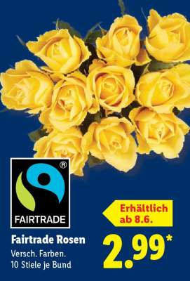 Fairtrade-Rosen