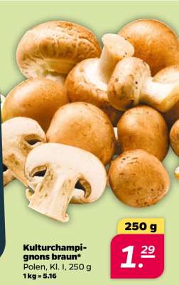 Kulturchampignons braun