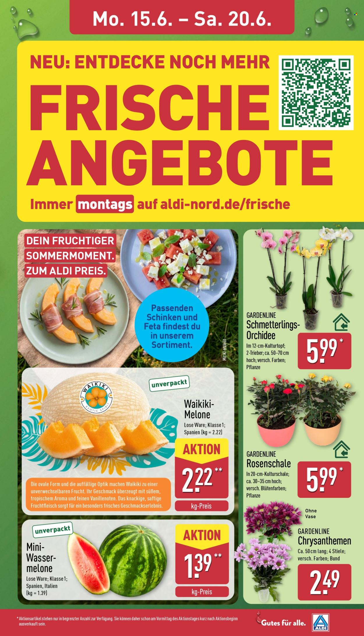 ALDI Nord Prospekte  - 15.06.2026 - 20.06.2026. Seite 7