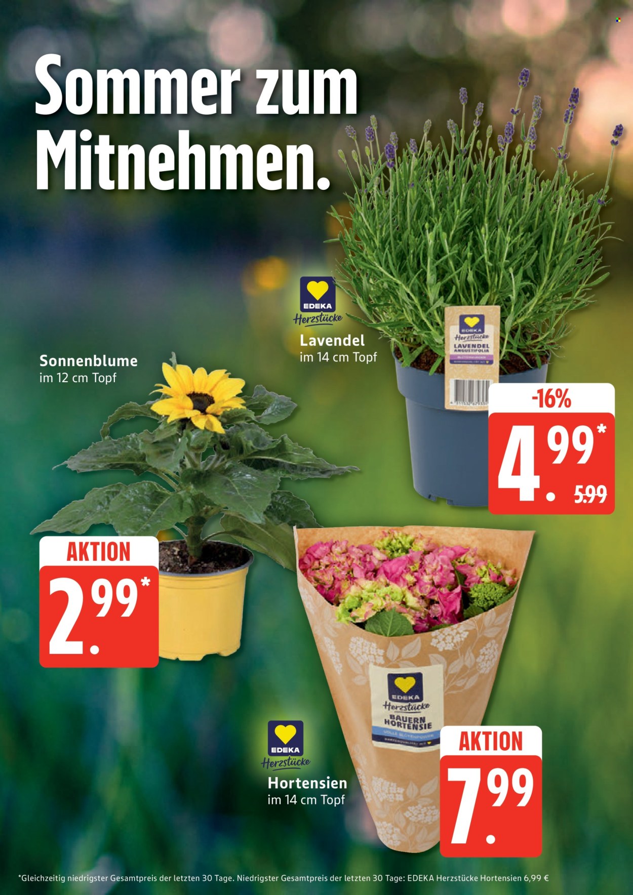 Edeka Prospekte  - 8.06.2026 - 13.06.2026. Seite 9