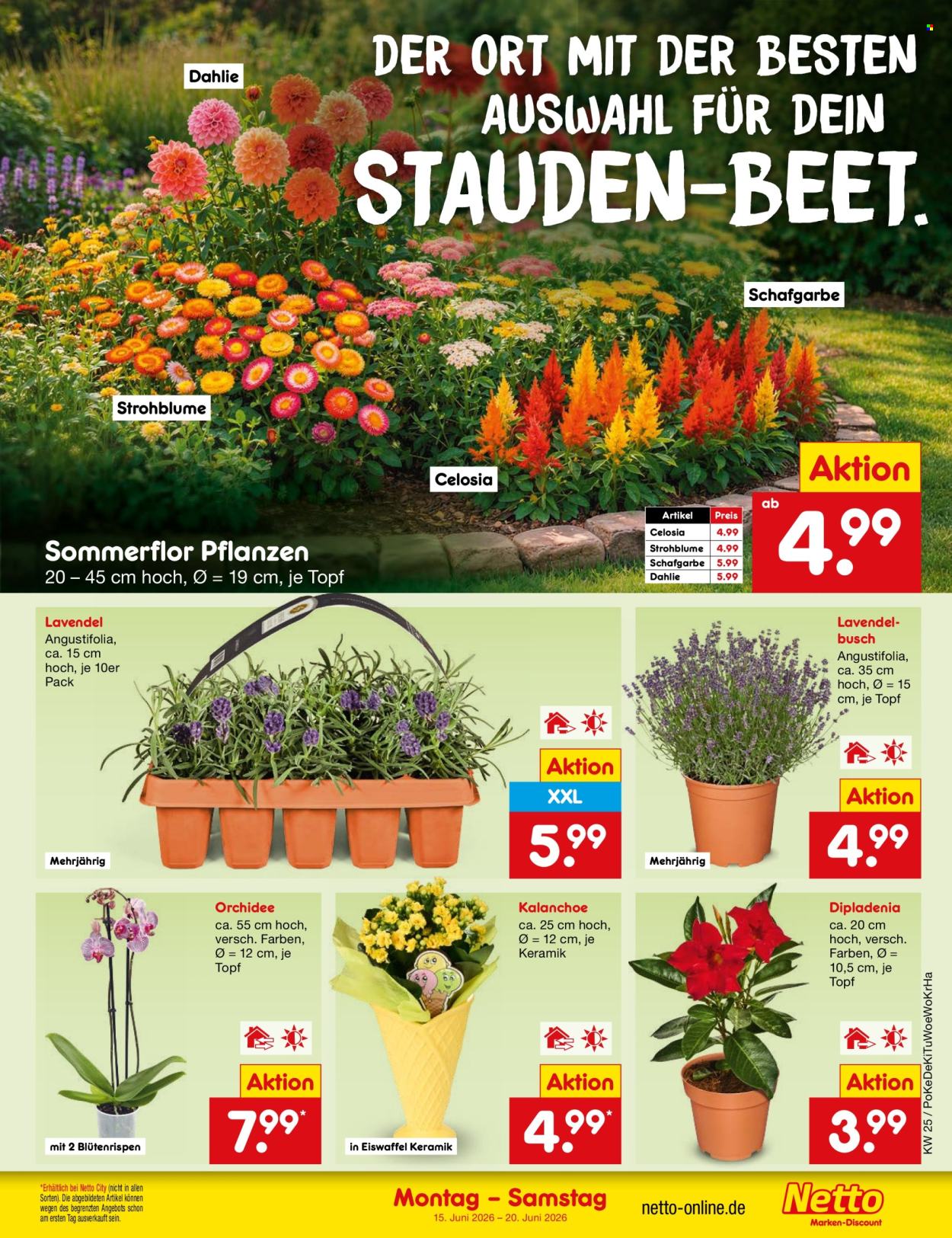 Netto Marken-Discount Prospekte  - 15.06.2026 - 20.06.2026. Seite 19