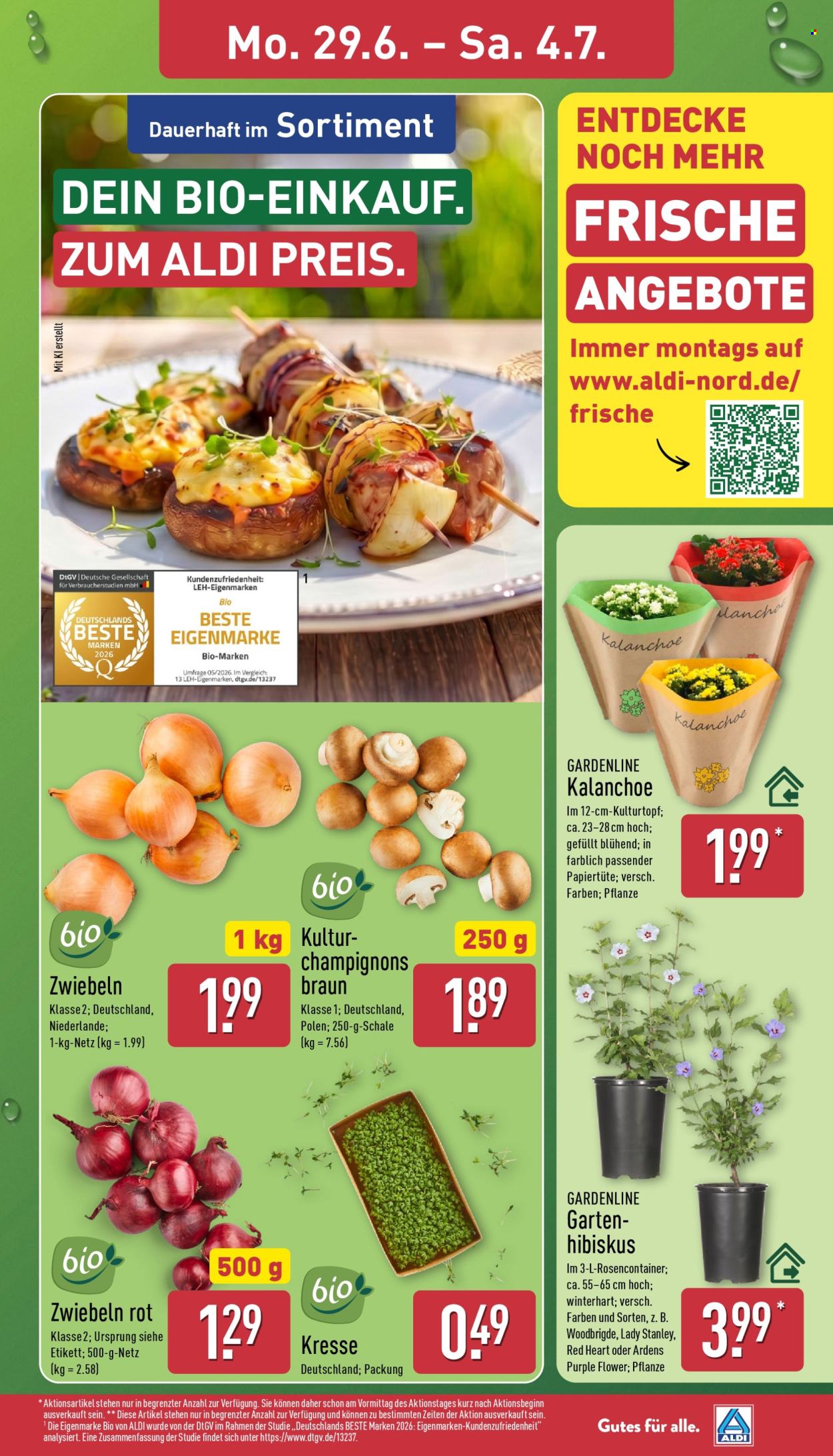 ALDI Nord Prospekte  - 29.06.2026 - 4.07.2026. Seite 3