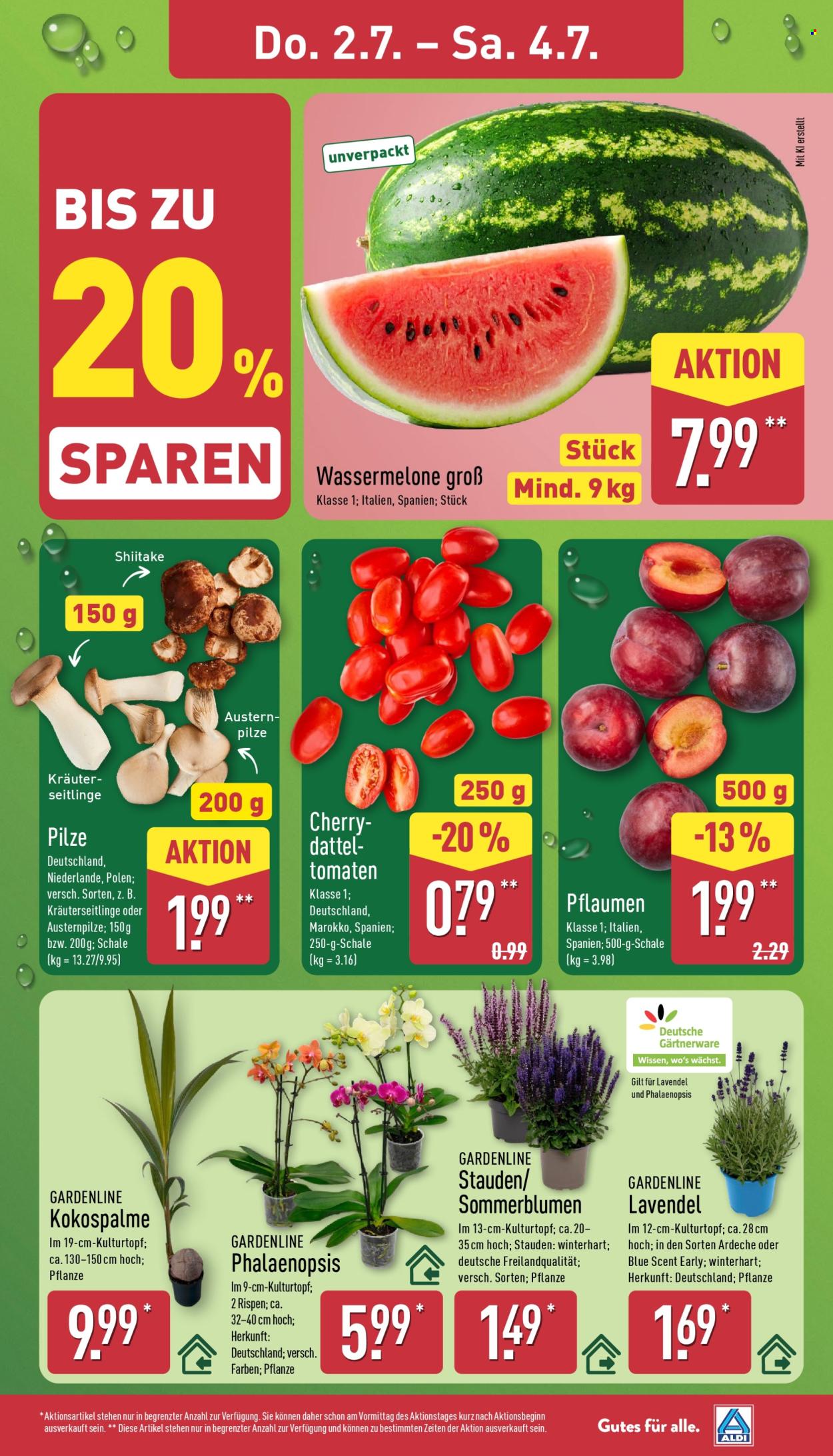ALDI Nord Prospekte  - 29.06.2026 - 4.07.2026. Seite 31
