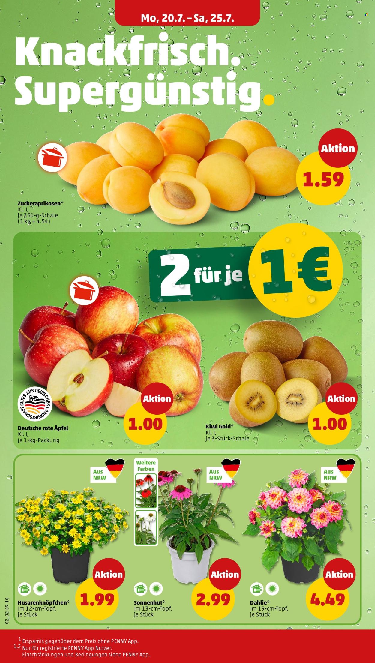 Penny Prospekte  - 20.07.2026 - 25.07.2026. Seite 2
