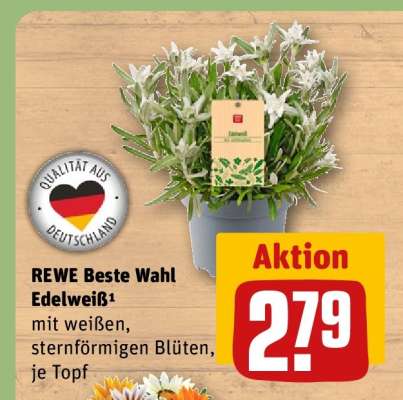 REWE Beste Wahl Edelweiß¹