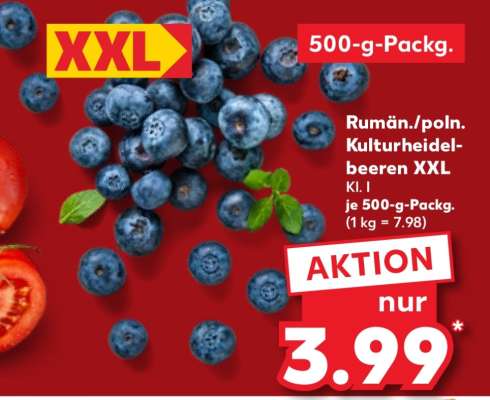 Rumän./poln. Kulturheidelbeeren XXL