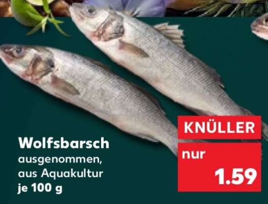 Wolfsbarsch