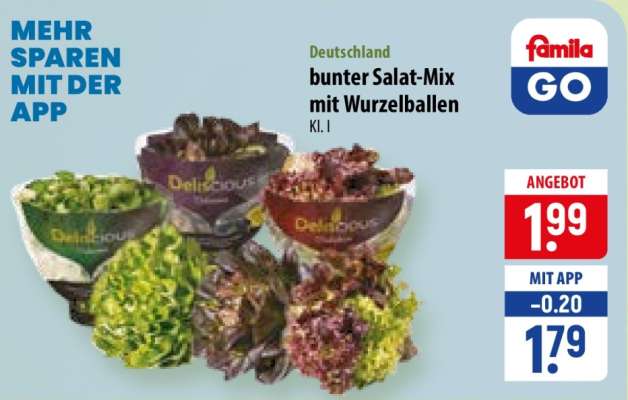 Bunter Salat-Mix mit Wurzelballen