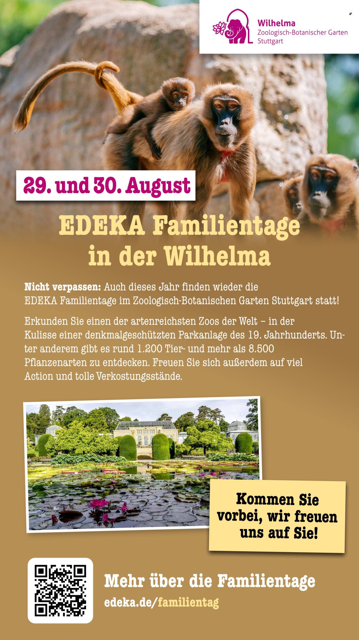 Scheck-in Prospekte  - 20.07.2026 - 25.07.2026. Seite 71