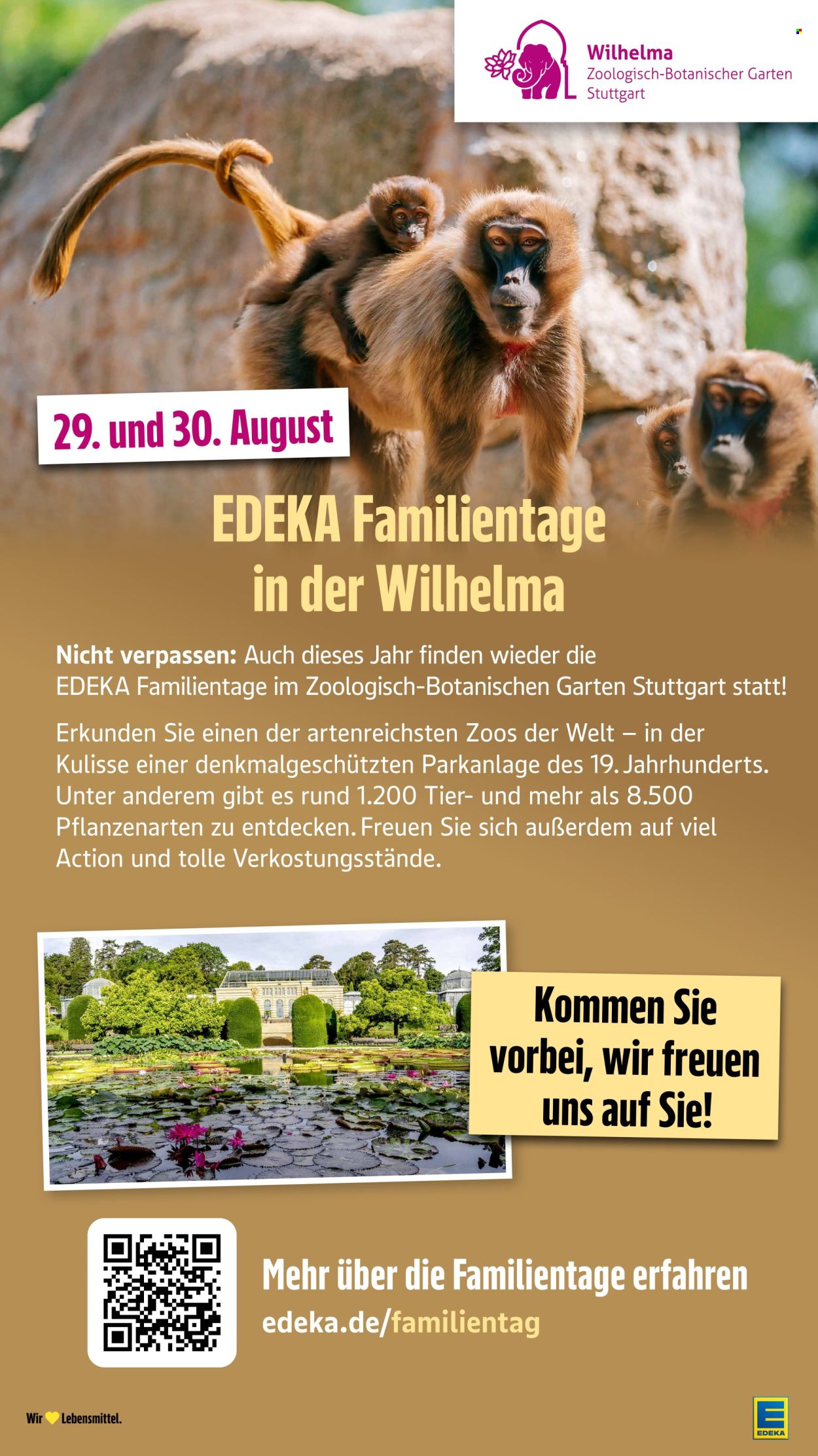 E center Prospekte  - 20.07.2026 - 25.07.2026. Seite 56