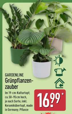 GARDENLINE Grünpflanzenzauber