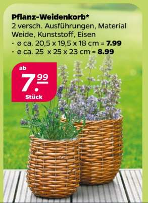 Pflanz-Weidenkorb*