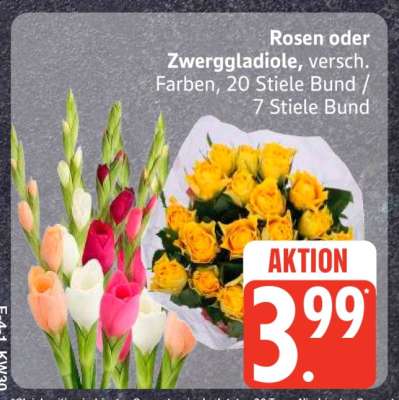 Rosen oder Zwerggladiolen