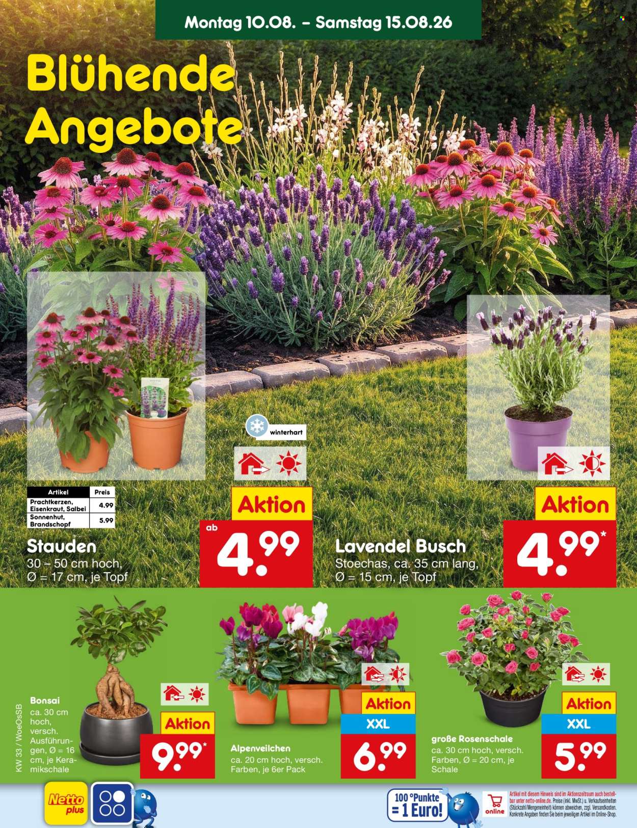Netto Marken-Discount Prospekte  - 10.08.2026 - 15.08.2026. Seite 46