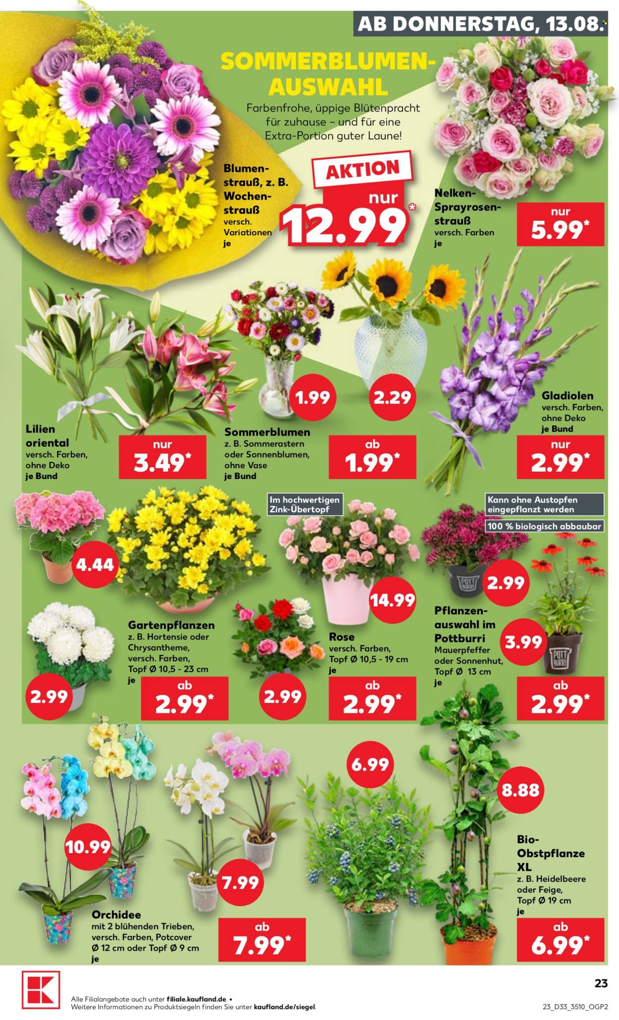 Kaufland Prospekte  - 13.08.2026 - 19.08.2026. Seite 23