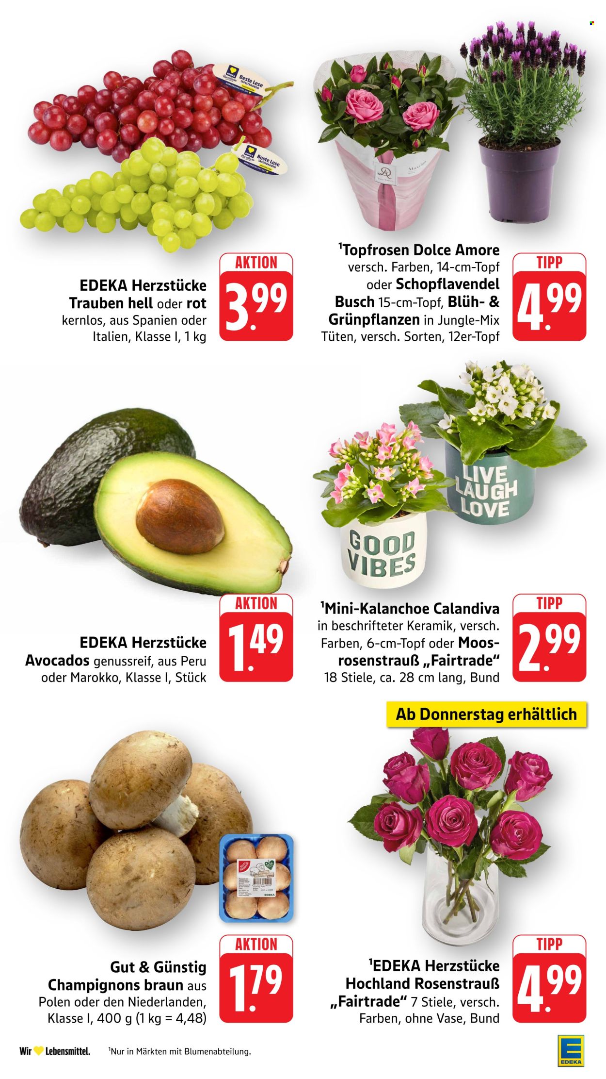 Edeka Prospekte  - 10.08.2026 - 15.08.2026. Seite 12