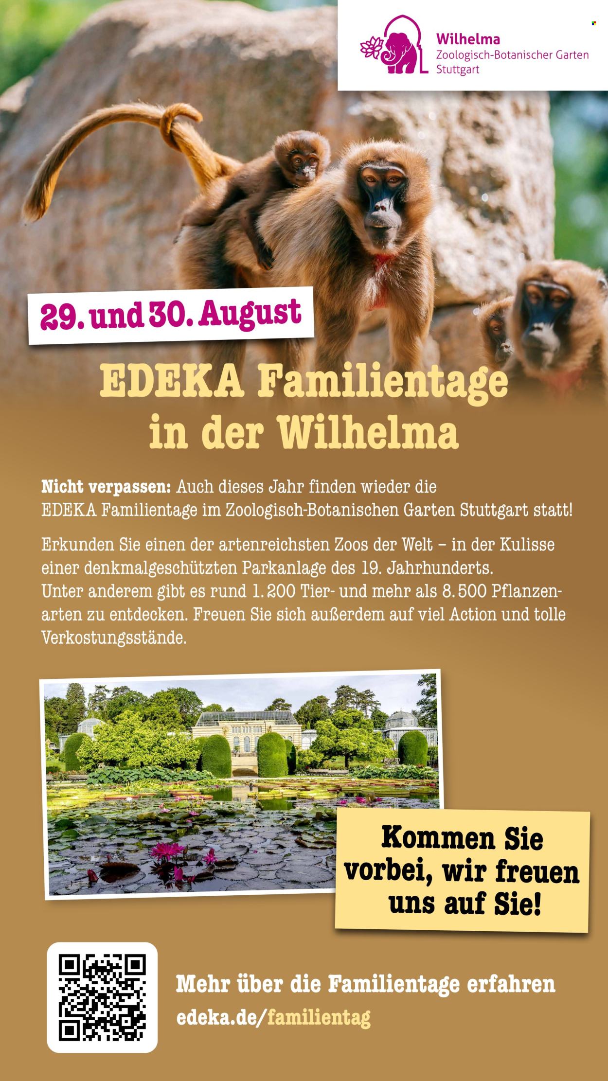 Scheck-in Prospekte  - 10.08.2026 - 15.08.2026. Seite 70