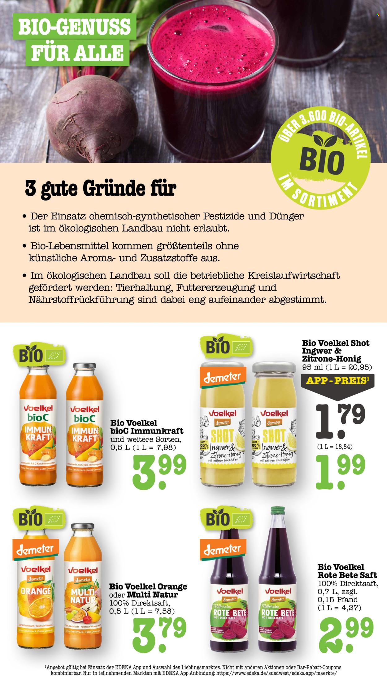 Scheck-in Prospekte  - 10.08.2026 - 15.08.2026. Seite 36