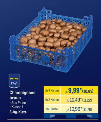 Champignons braun