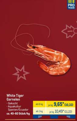 White Tiger Garnelen