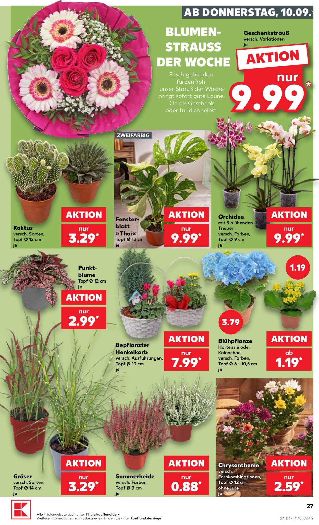 Kaufland Prospekte  - 10.09.2026 - 16.09.2026. Seite 27