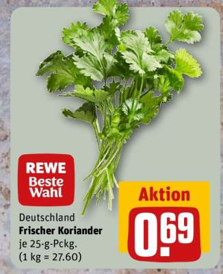 Frischer Koriander
