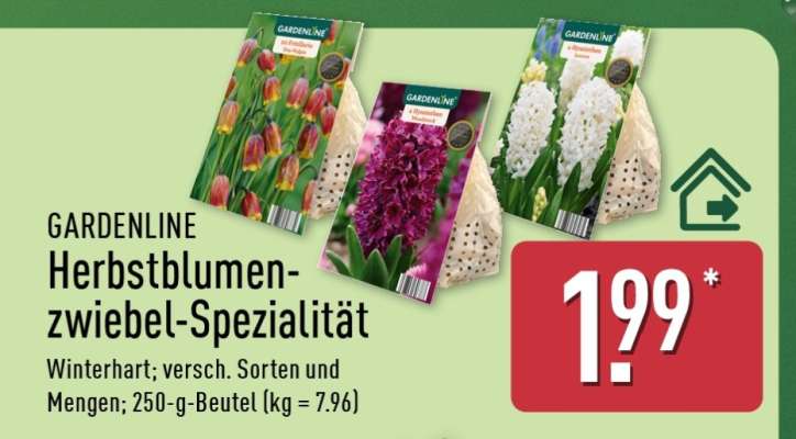 GARDENLINE Herbstblumenzwiebel-Spezialität