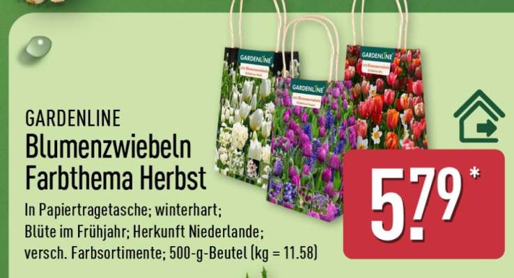 GARDENLINE Blumenzwiebeln Farbthema Herbst