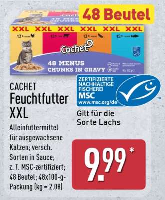 CACHET Feuchtfutter XXL