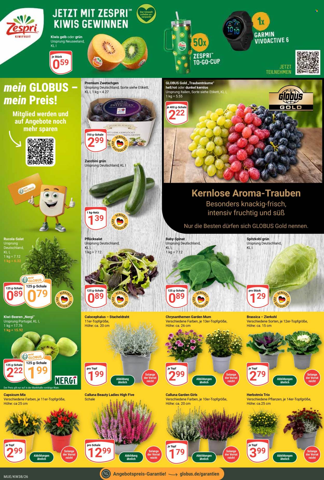 Globus Prospekte  - 14.09.2026 - 19.09.2026. Seite 6