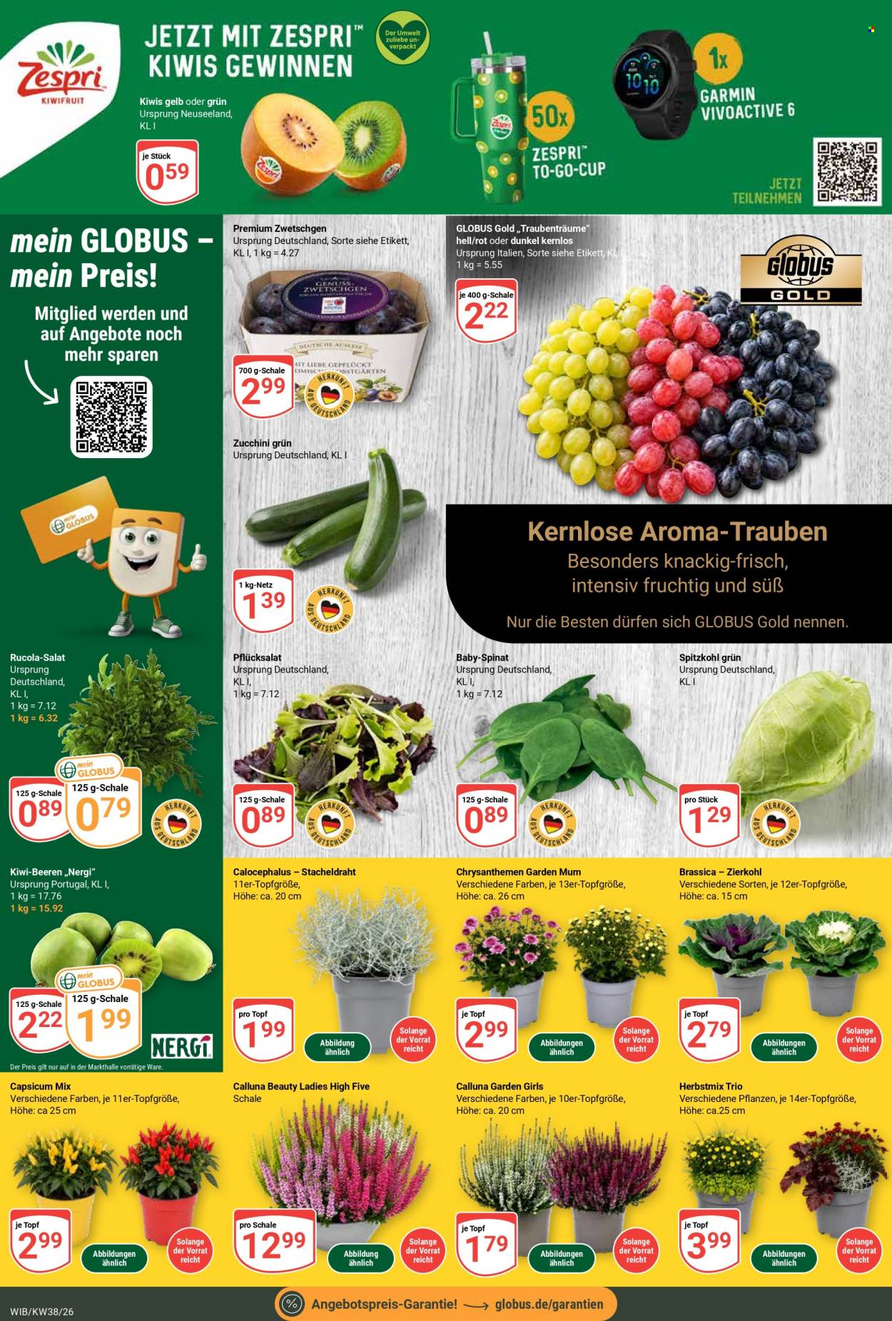 Globus Prospekte  - 14.09.2026 - 19.09.2026. Seite 5