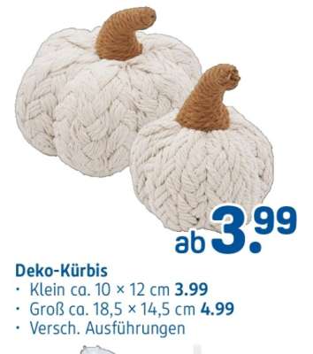 Deko-Kürbis