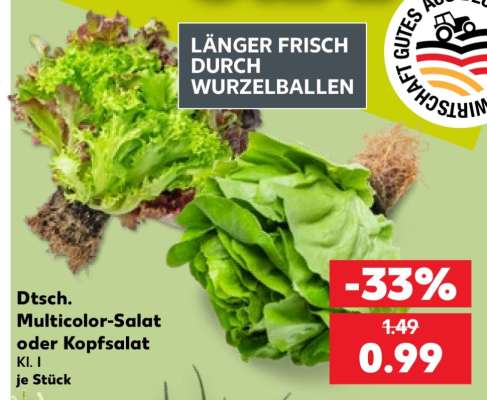 Dtsch. Multicolor-Salat oder Kopfsalat