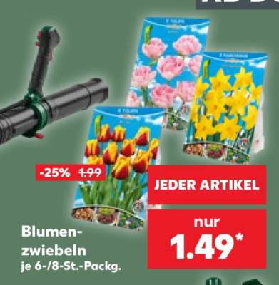 Blumenzwiebeln