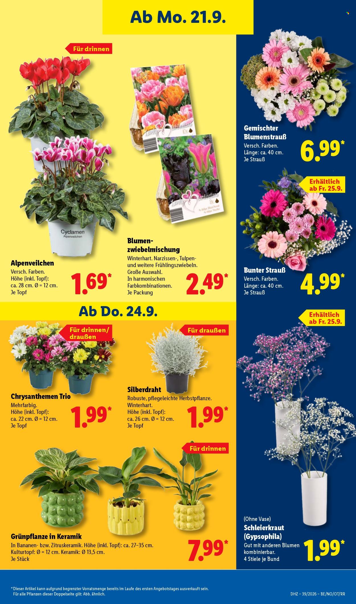 Lidl Prospekte  - 21.09.2026 - 26.09.2026. Seite 21